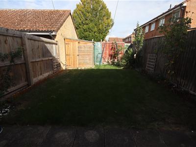 Picture 11